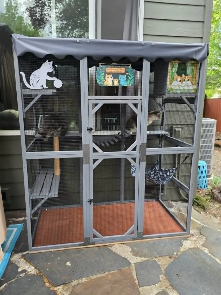 Exterior view of a secure screened outdoor catio in a landscaped Oregon backyard.