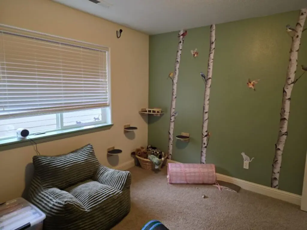 Indoor cat room with wall-mounted branches, platforms, beds, and climbing areas for Maine Coon cats.