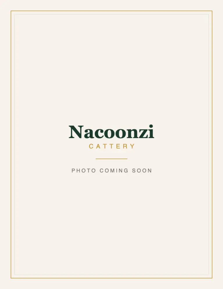 Nacoonzi photo coming soon portrait