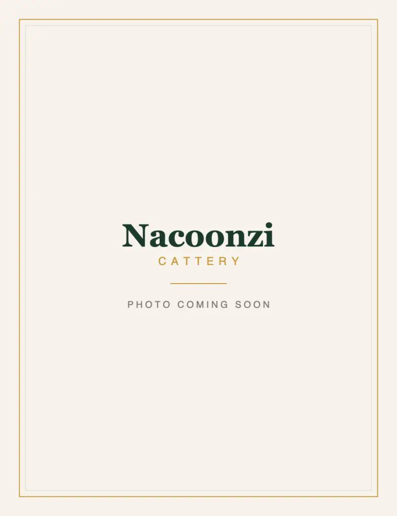 Nacoonzi photo coming soon portrait