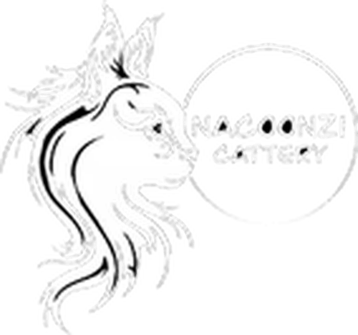 Nacoonzi Cattery