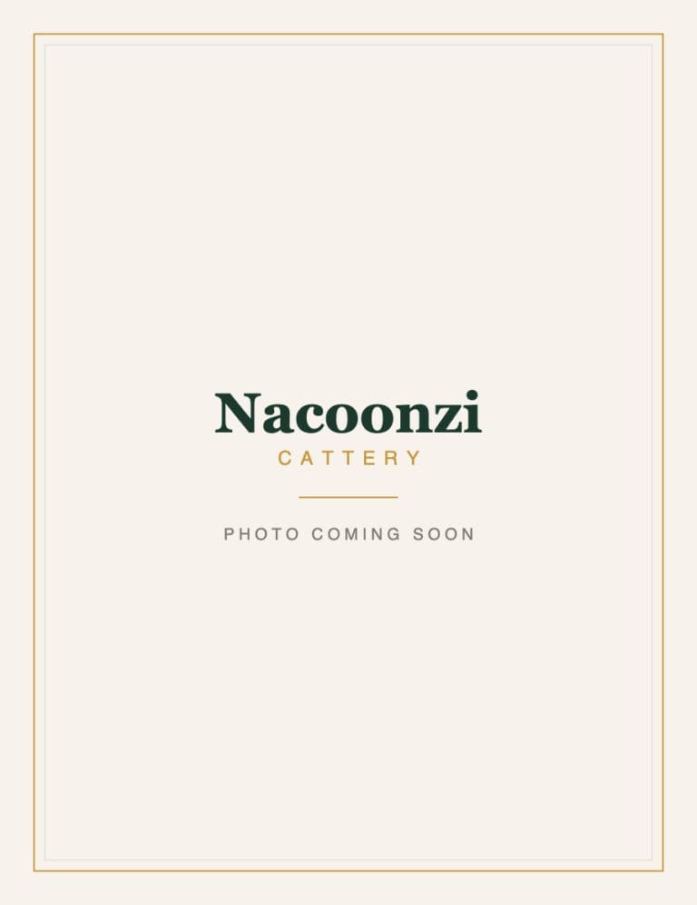 Nacoonzi photo coming soon portrait