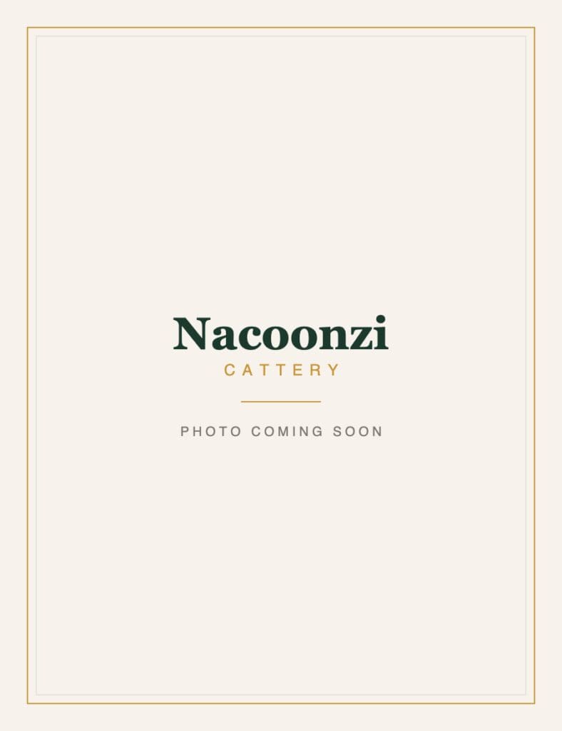 Nacoonzi photo coming soon portrait